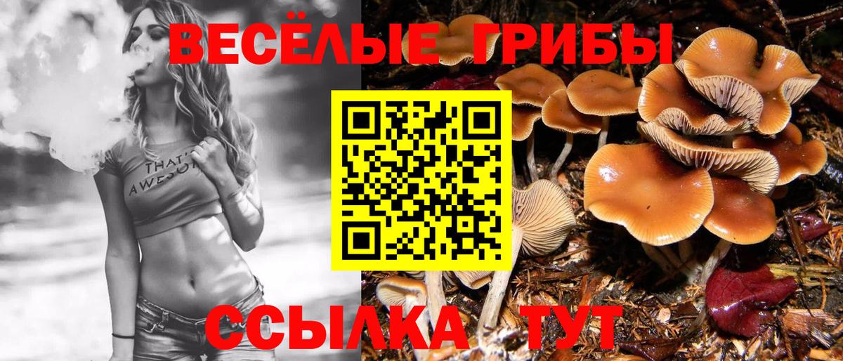 Галлюциногенные грибы Cubensis  Псилоцибиновые грибы Cubensis  Севастополь  Вход с VPN 